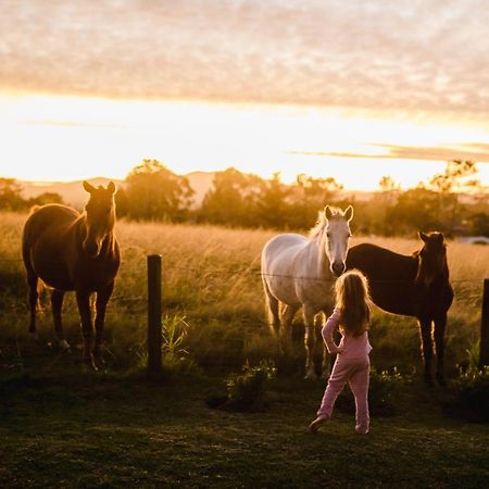 فيلا Fernhill Guest Farm كنيسنا المظهر الخارجي الصورة
