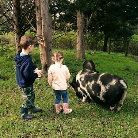 فيلا Fernhill Guest Farm كنيسنا المظهر الخارجي الصورة