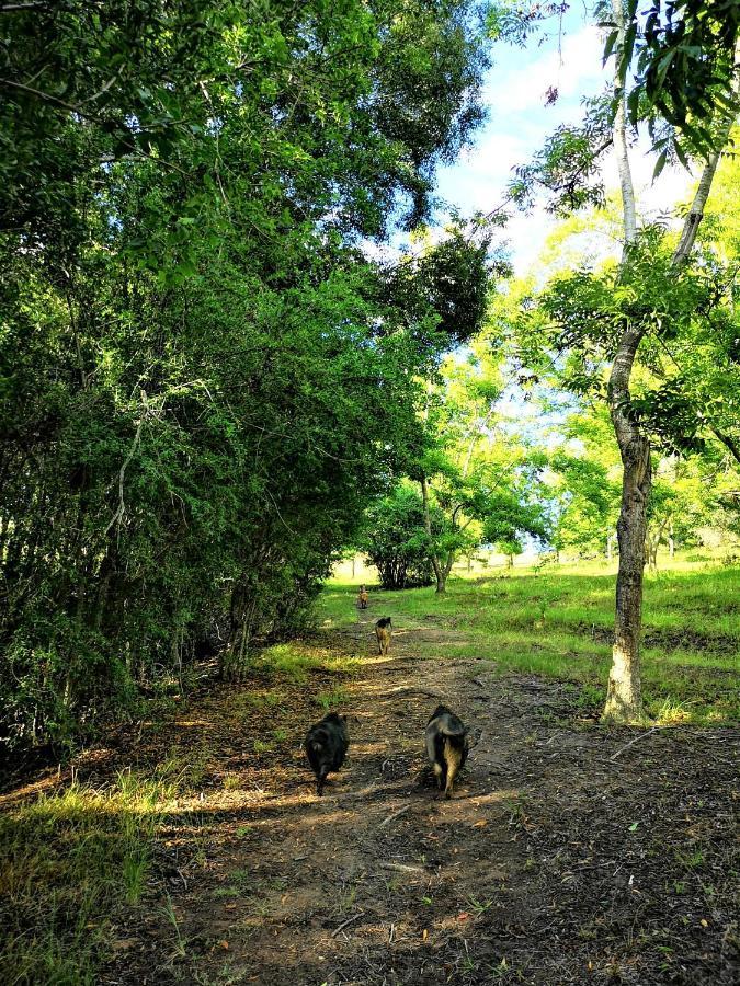 فيلا Fernhill Guest Farm كنيسنا المظهر الخارجي الصورة