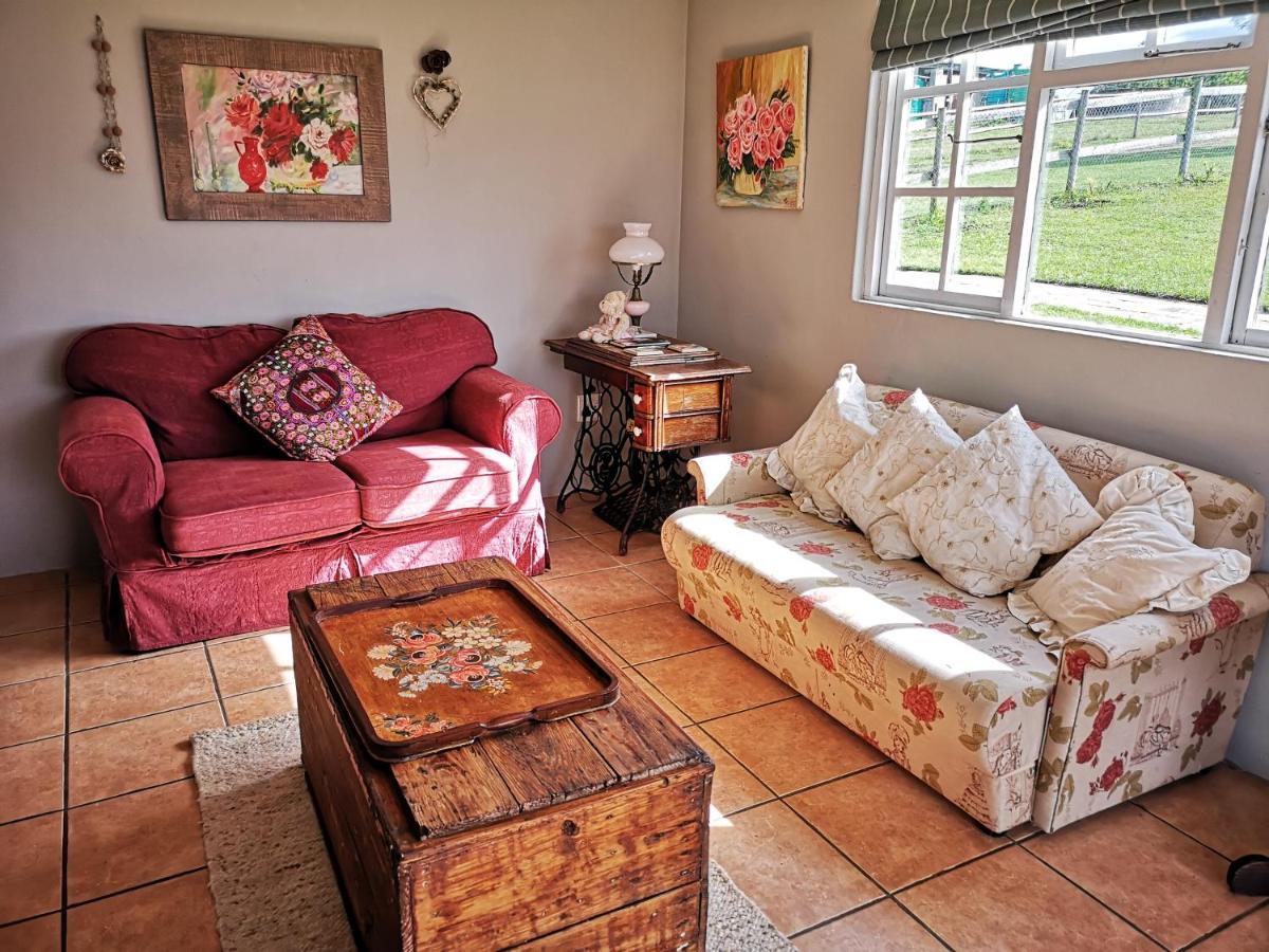فيلا Fernhill Guest Farm كنيسنا المظهر الخارجي الصورة