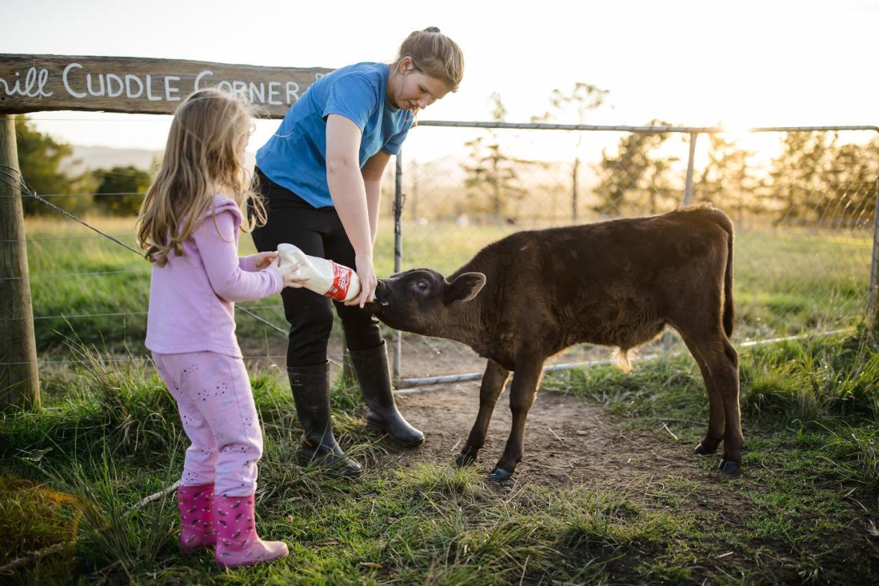 فيلا Fernhill Guest Farm كنيسنا المظهر الخارجي الصورة