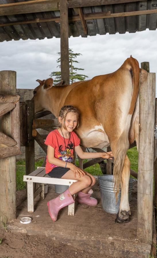 فيلا Fernhill Guest Farm كنيسنا المظهر الخارجي الصورة