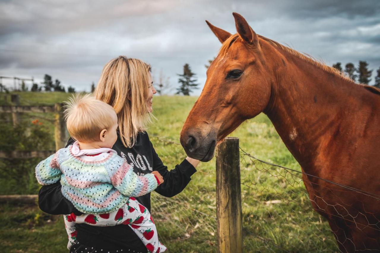 فيلا Fernhill Guest Farm كنيسنا المظهر الخارجي الصورة