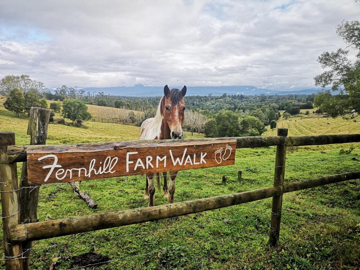 فيلا Fernhill Guest Farm كنيسنا المظهر الخارجي الصورة