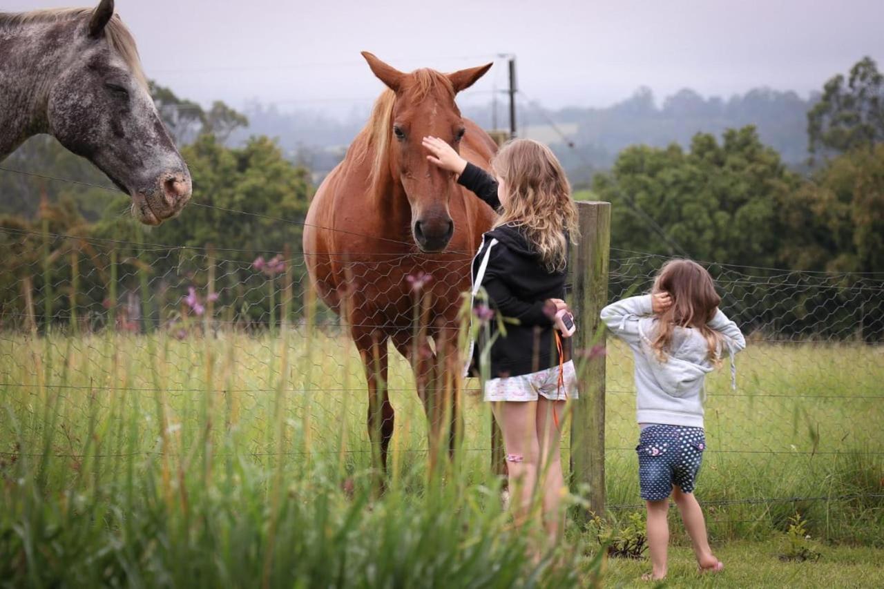 فيلا Fernhill Guest Farm كنيسنا المظهر الخارجي الصورة